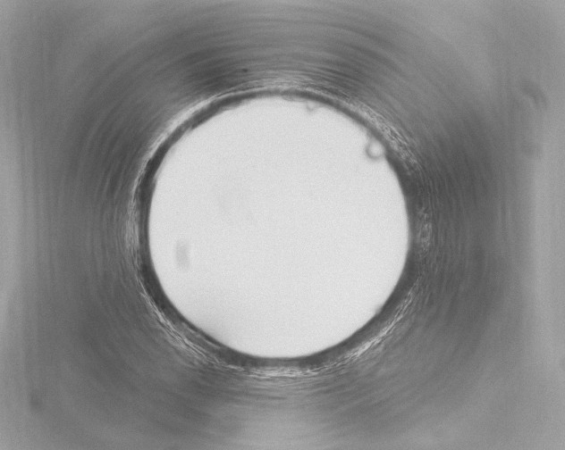 X0000115531118200912181521