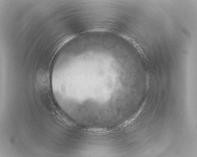 X0000115531121200912181521