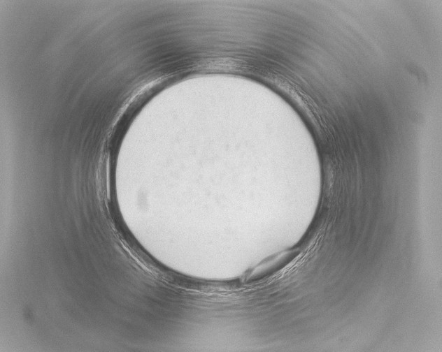 X0000115531123200912181521