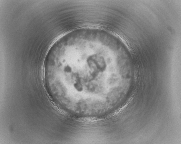 X0000115531125200912181521