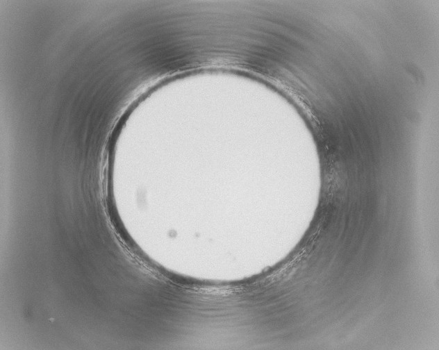 X0000115531126200912181521