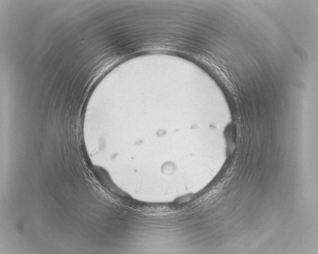 X0000115531129200912181521