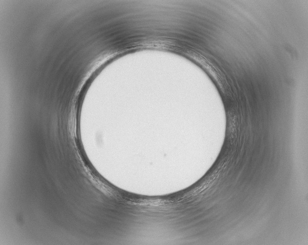 X0000115531131200912181521