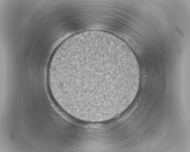 X0000115531134200912181521