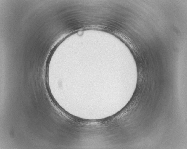 X0000115531135200912181521