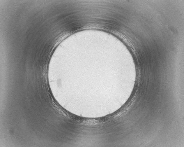 X0000115531137200912181521