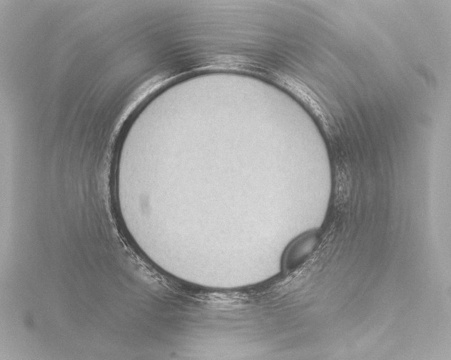 X0000115531138200912181521