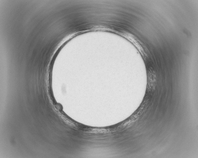 X0000115531142200912181521