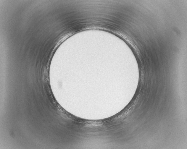 X0000115531145200912181521