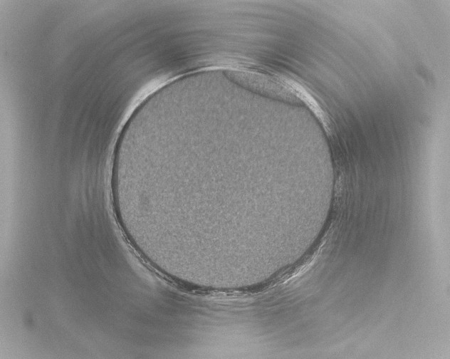 X0000115531146200912181521