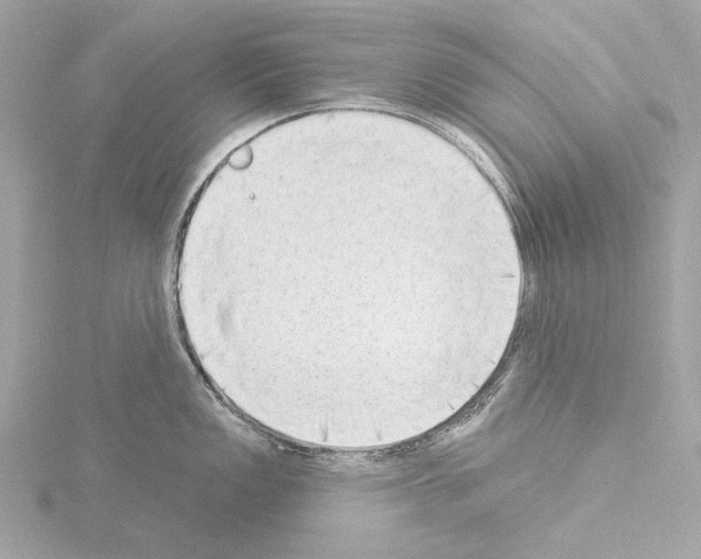 X0000115531149200912181521