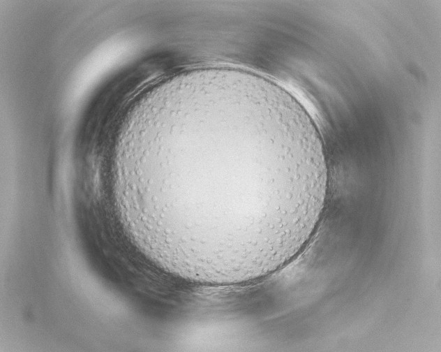 X0000115531150200912181522