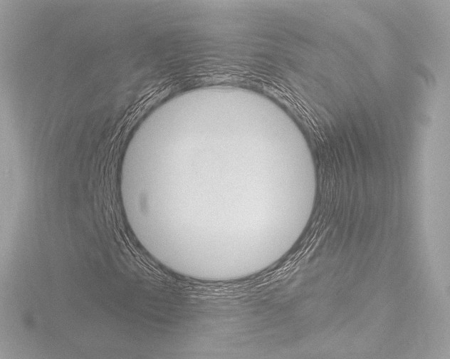 X0000115531153200912181521