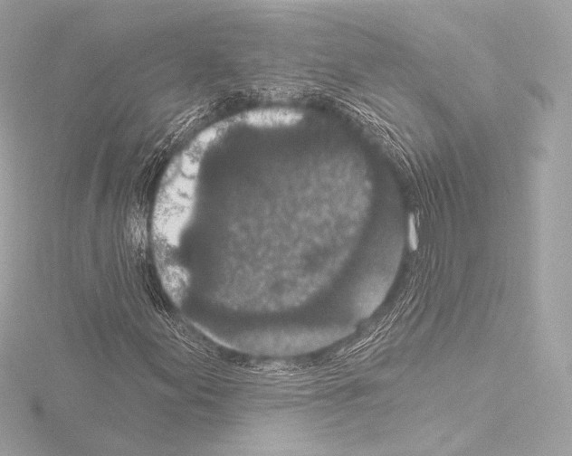 X0000115531155200912181521