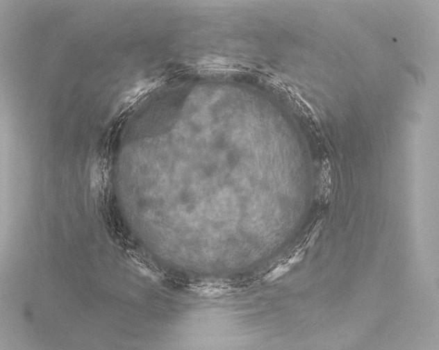 X0000115531157200912181521