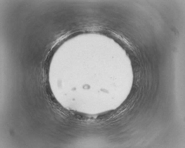 X0000115531160200912181521