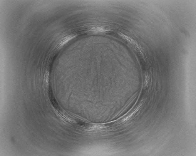 X0000115531161200912181521