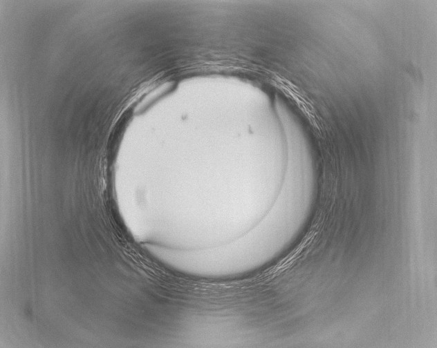 X0000115531165200912181521