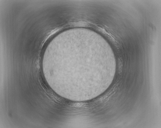 X0000115531166200912181521