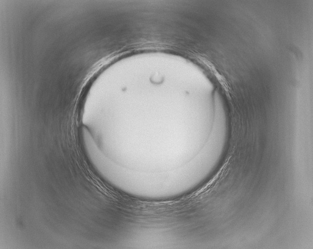 X0000115531167200912181521