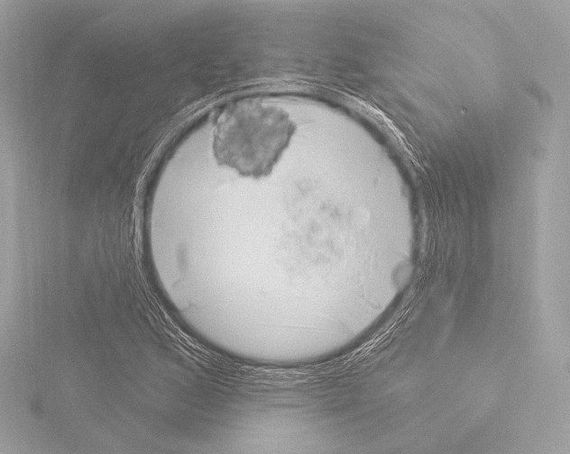 X0000115531168200912181521