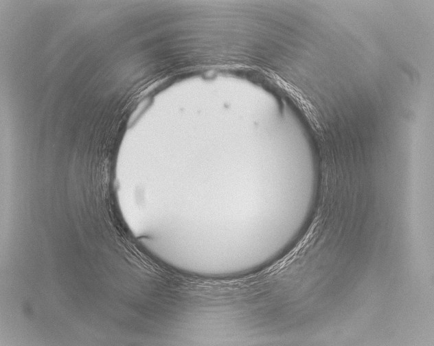 X0000115531169200912181521