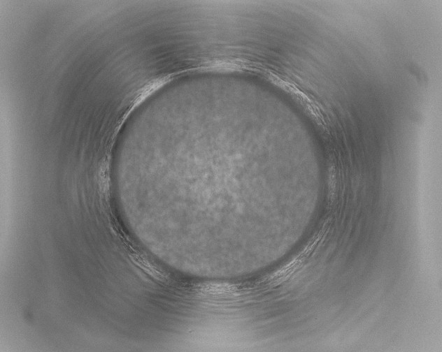 X0000115531170200912181521