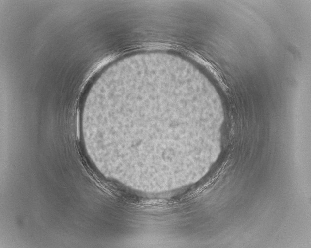 X0000115531171200912181521