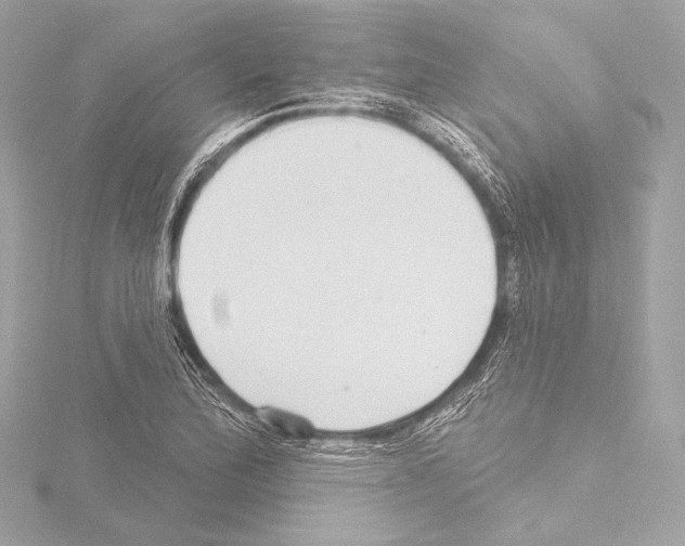 X0000115531172200912181521