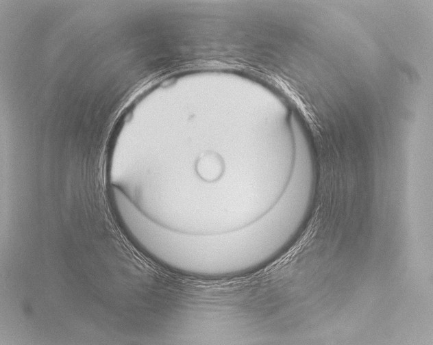 X0000115531173200912181521