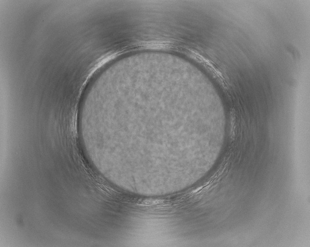 X0000115531174200912181521