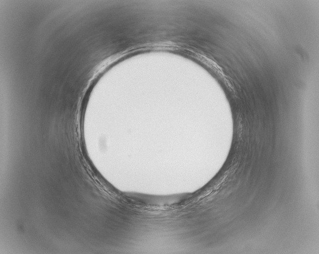 X0000115531176200912181521