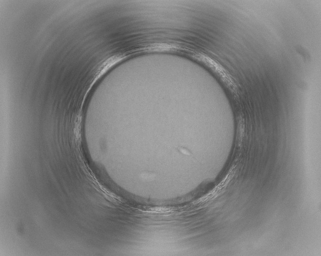 X0000115531178200912181521