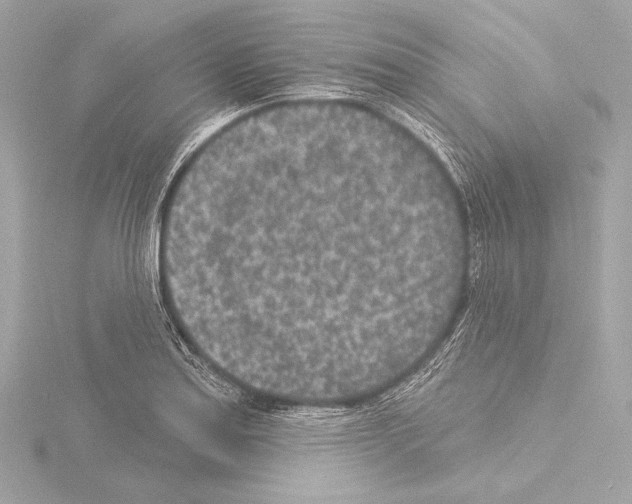 X0000115531179200912181521