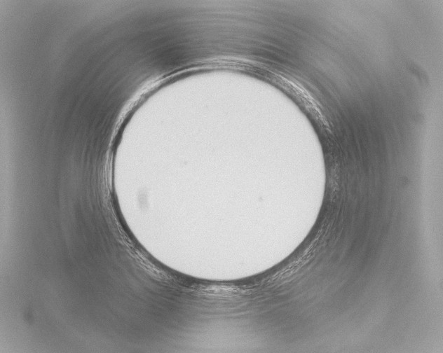 X0000115531180200912181521