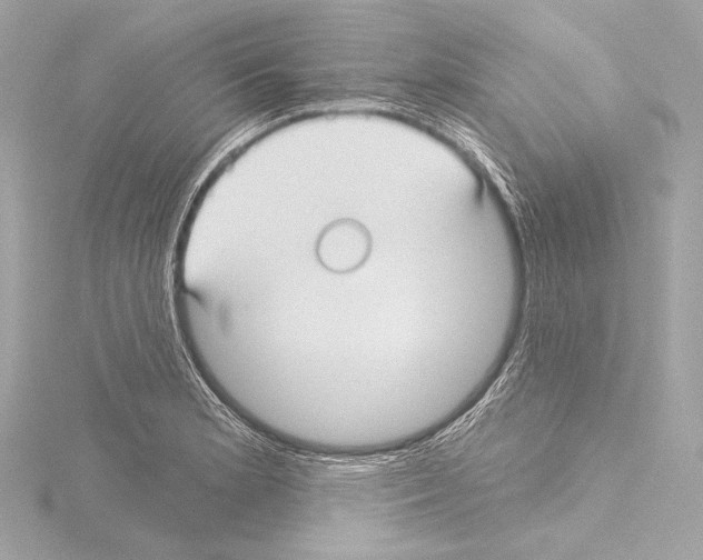 X0000115531181200912181521