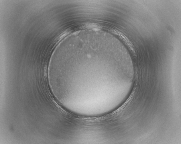 X0000115531185200912181520