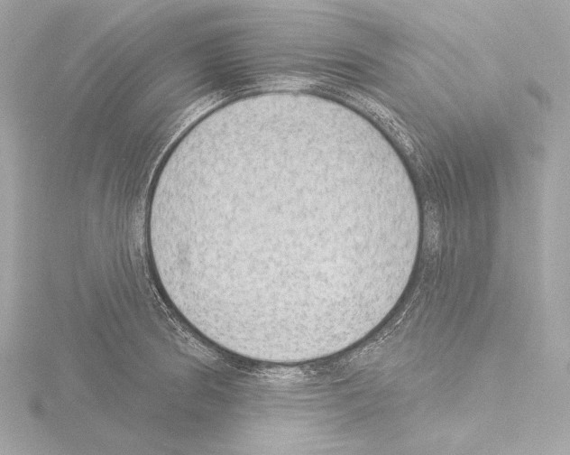 X0000115531186200912181520