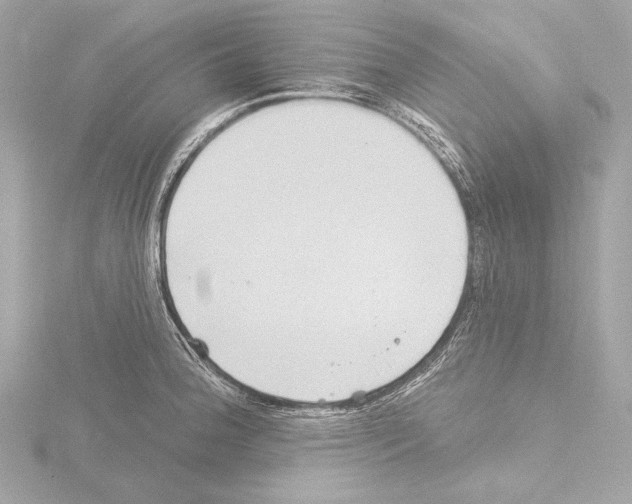 X0000115531188200912181520