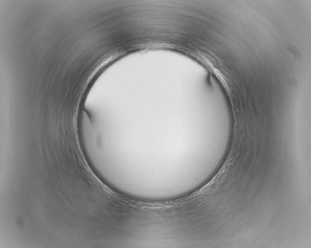 X0000115531189200912181520