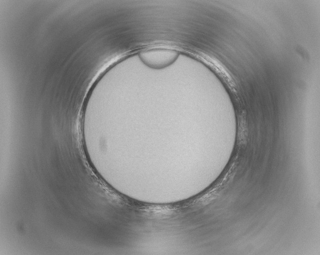 X0000115531190200912181520