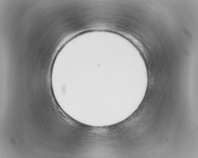 X0000115531191200912181520