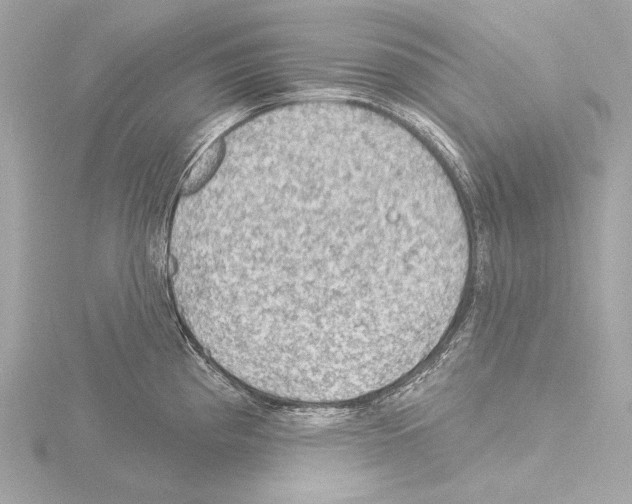 X0000115531193200912181520