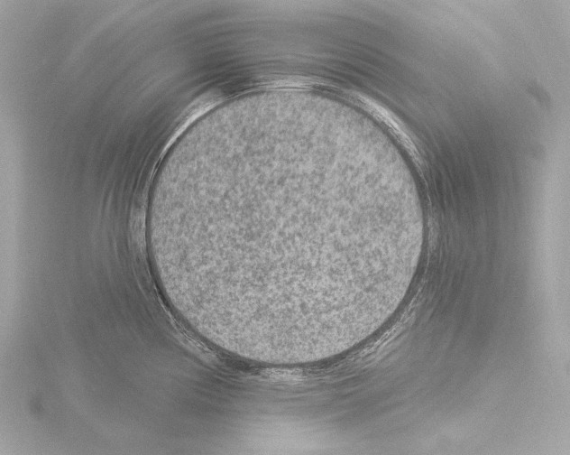 X0000115531194200912181520