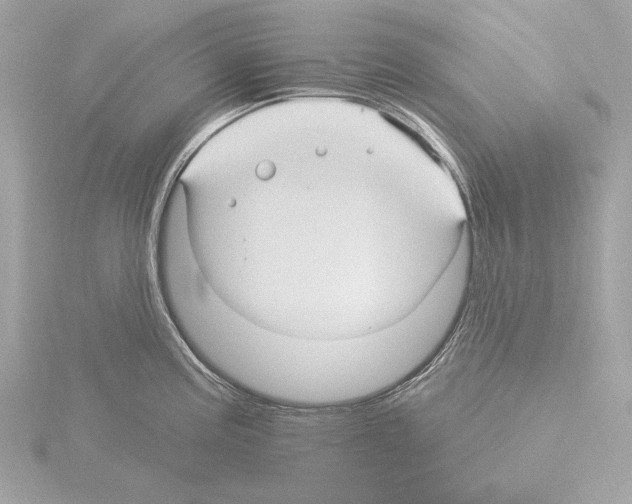 X0000115531195200912181520