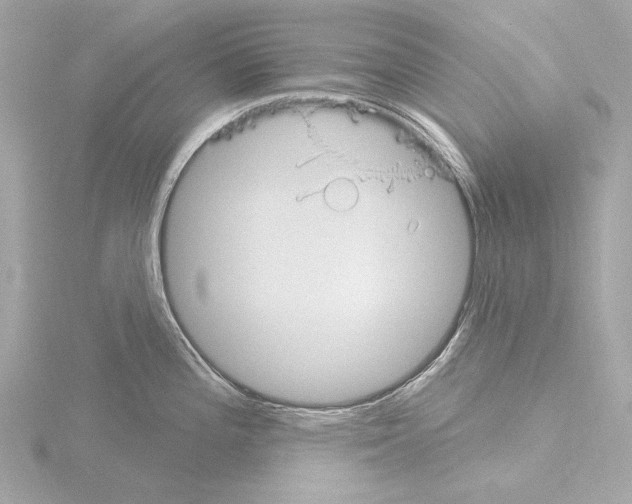 X0000115531196200912181520