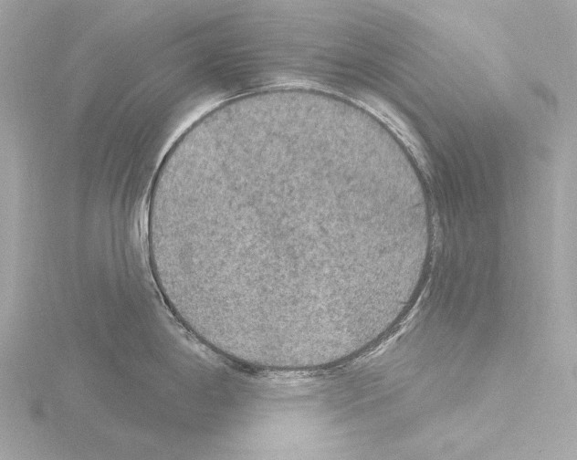 X0000115531198200912181520