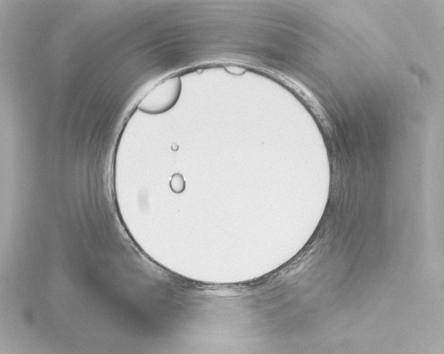 X0000115531199200912181520