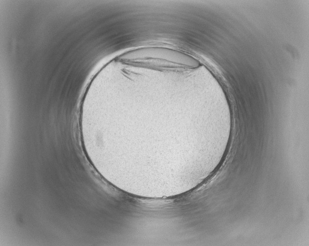 X0000115531200200912181520