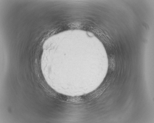 X0000115531201200912181520